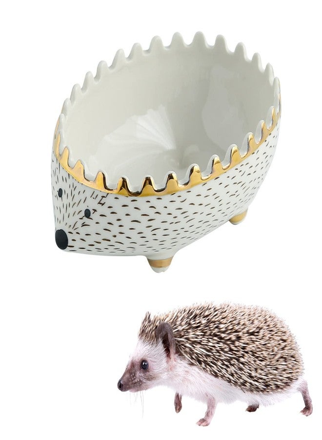 WCDJOMOP Hedgehog Bowl - Ceramic Small Animal Food Bowl Water Dish Feeder Chew Resistant Prevent Tipping for Hedgehog Hamster Sugar Glider Rat Gerbil Mice Small Animal Cage Accessories (Hedgehog Shape) - Image 1